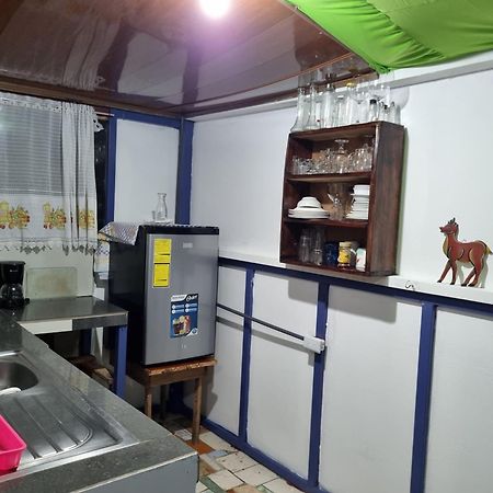 Wildlife Art Tortuguero Hotel Exterior foto