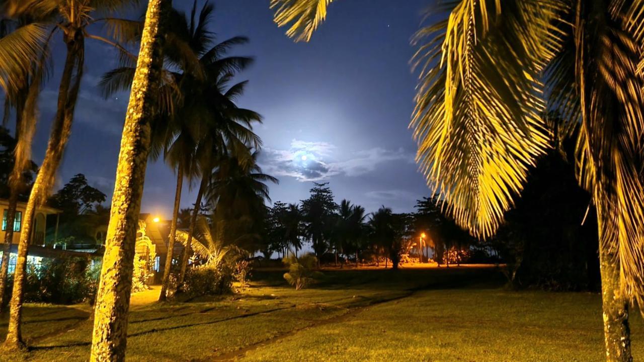 Wildlife Art Tortuguero Hotel Exterior foto