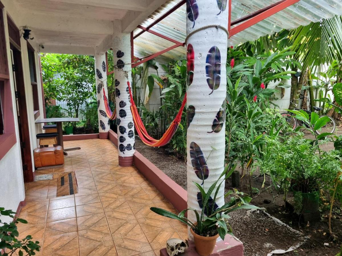 Wildlife Art Tortuguero Hotel Exterior foto