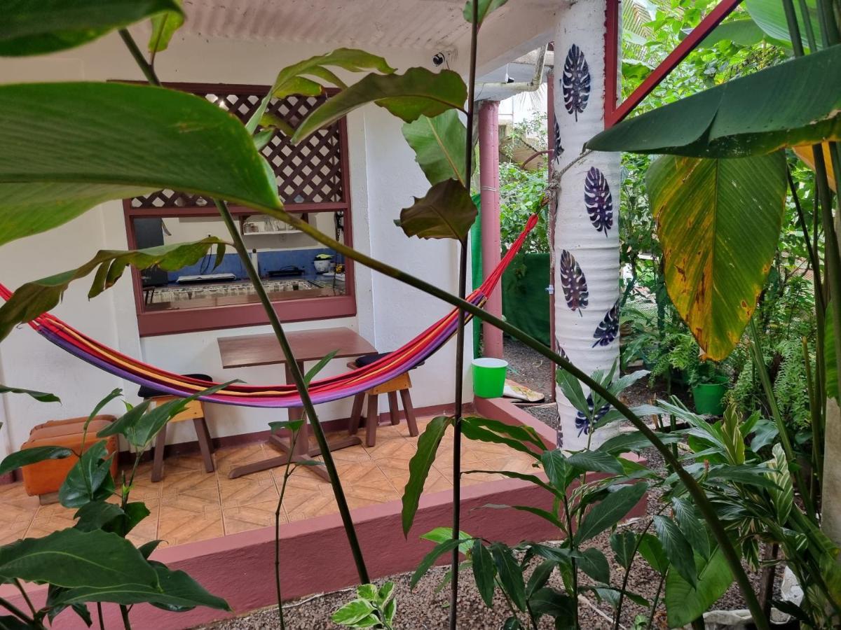 Wildlife Art Tortuguero Hotel Exterior foto