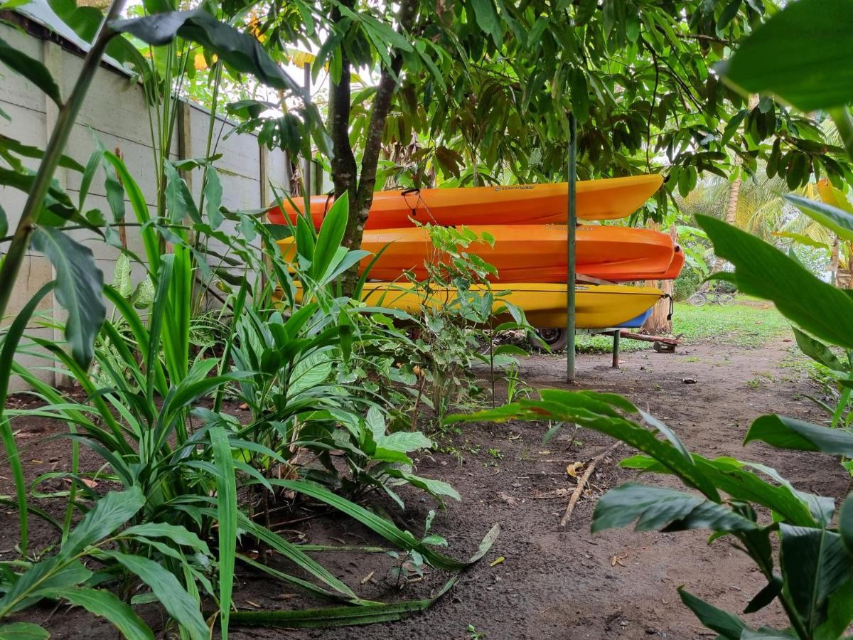 Wildlife Art Tortuguero Hotel Exterior foto