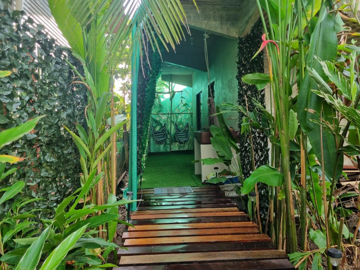 Wildlife Art Tortuguero Hotel Exterior foto