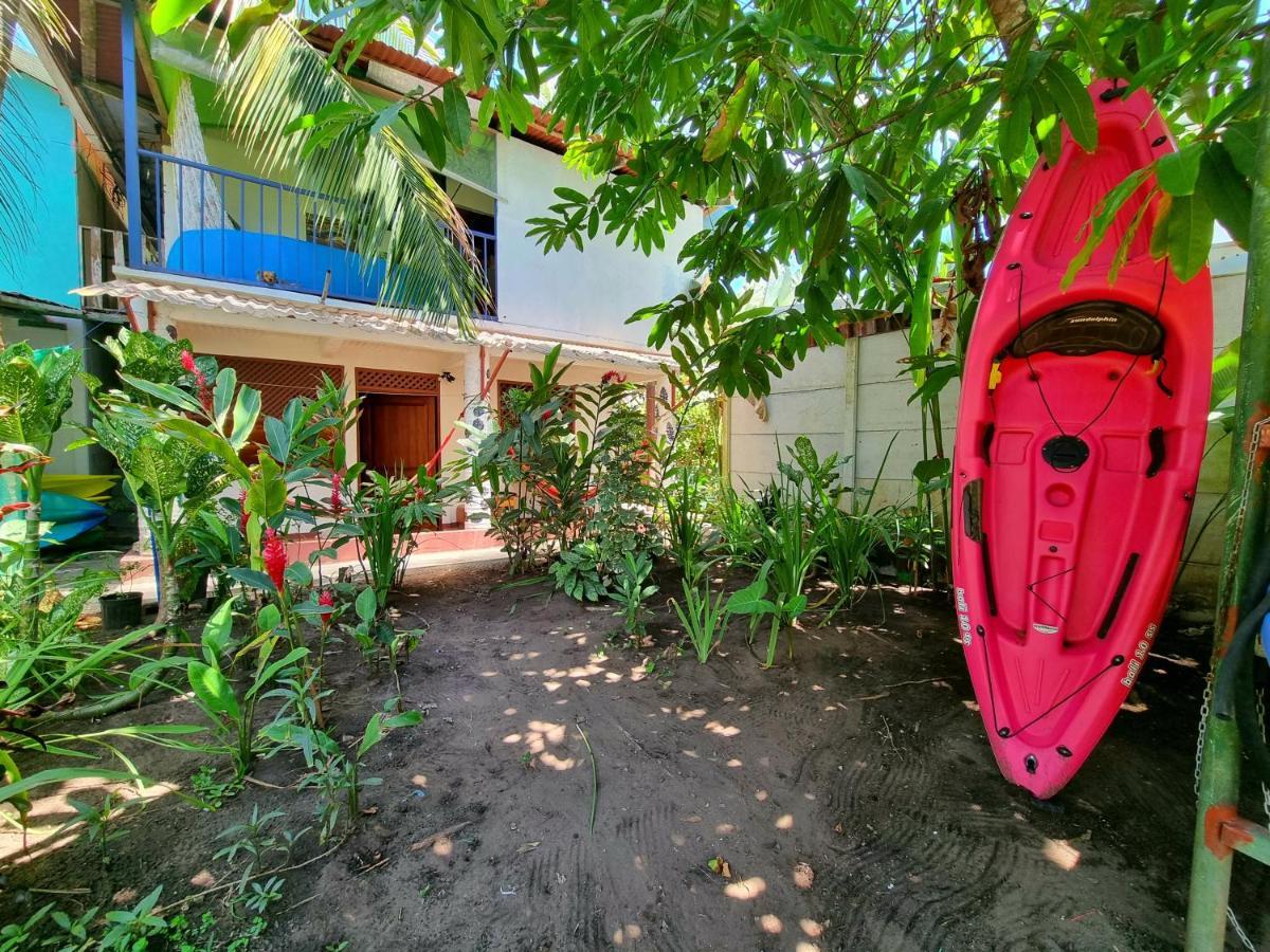 Wildlife Art Tortuguero Hotel Exterior foto