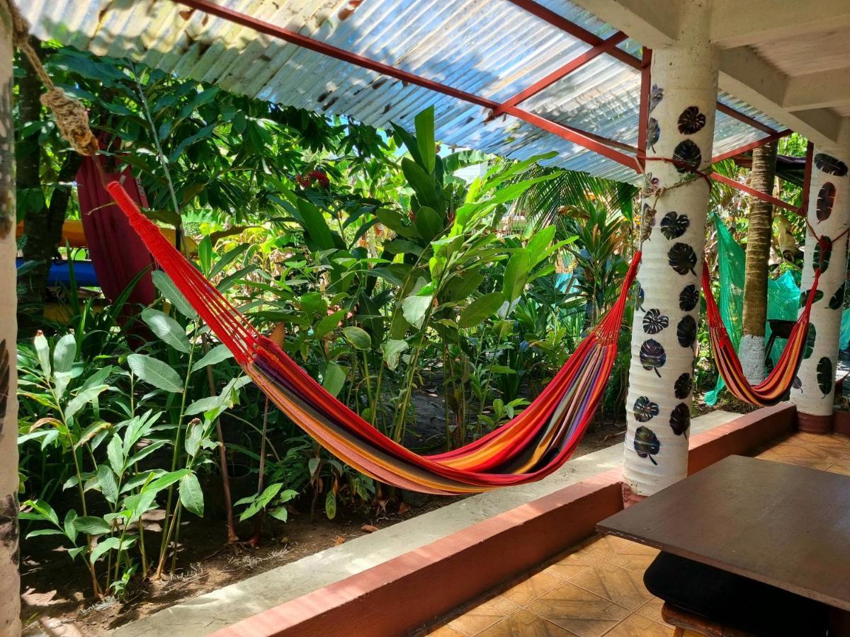 Wildlife Art Tortuguero Hotel Exterior foto
