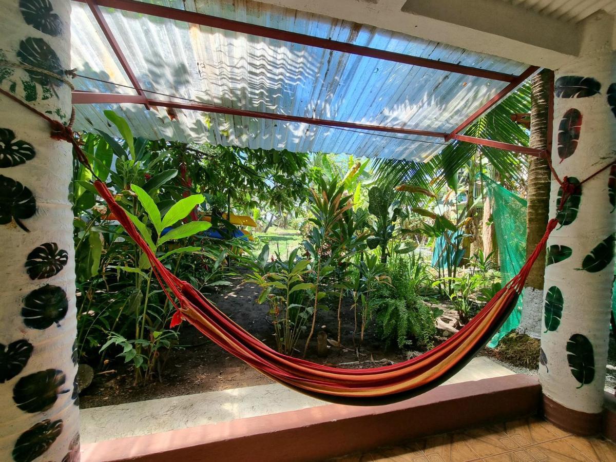Wildlife Art Tortuguero Hotel Exterior foto