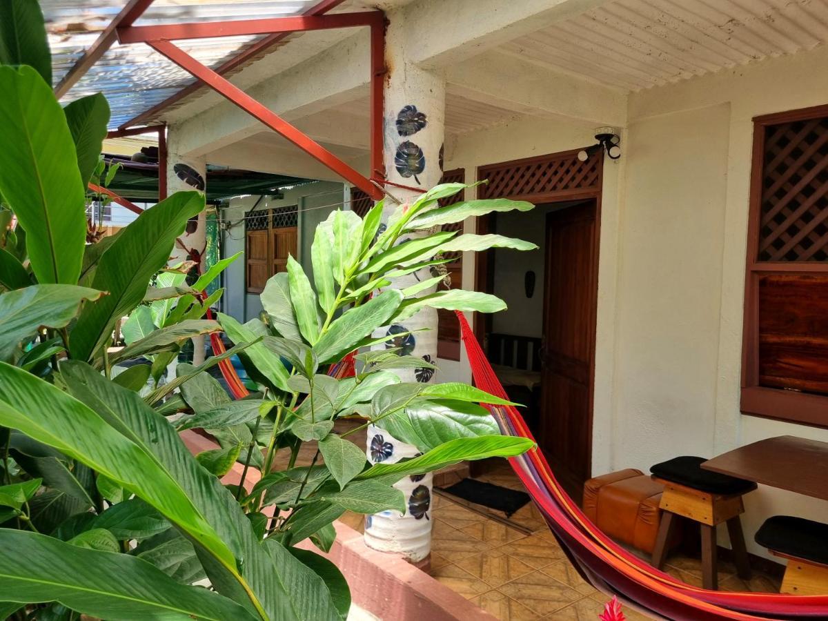 Wildlife Art Tortuguero Hotel Exterior foto