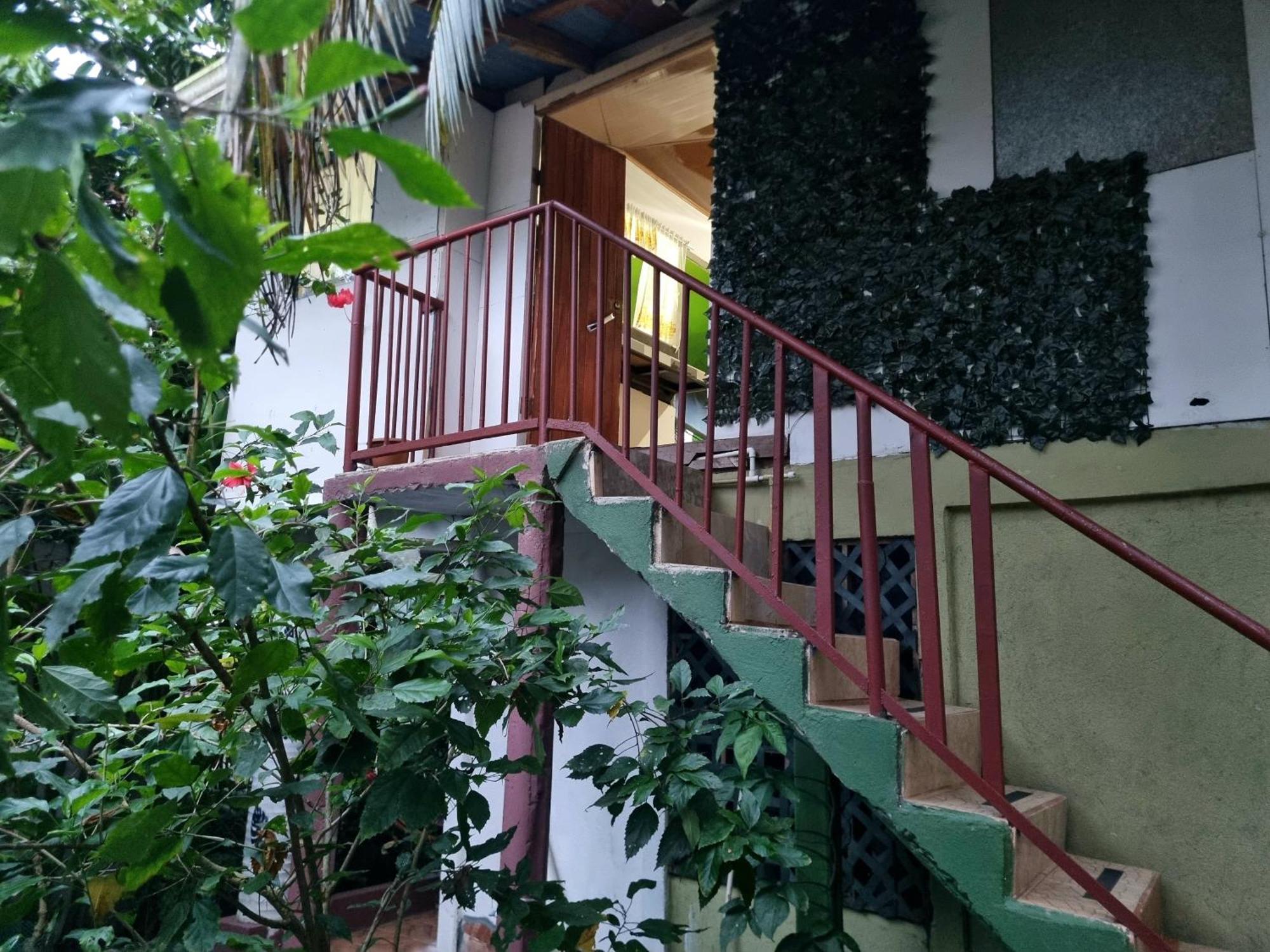 Wildlife Art Tortuguero Hotel Exterior foto