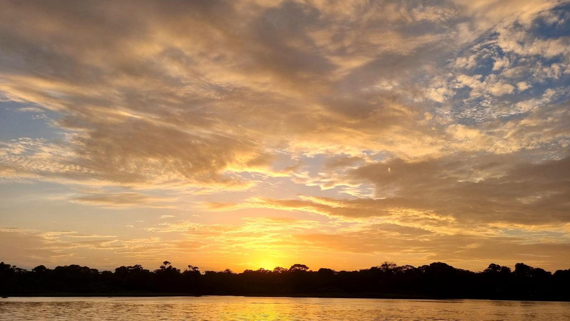 Wildlife Art Tortuguero Hotel Exterior foto
