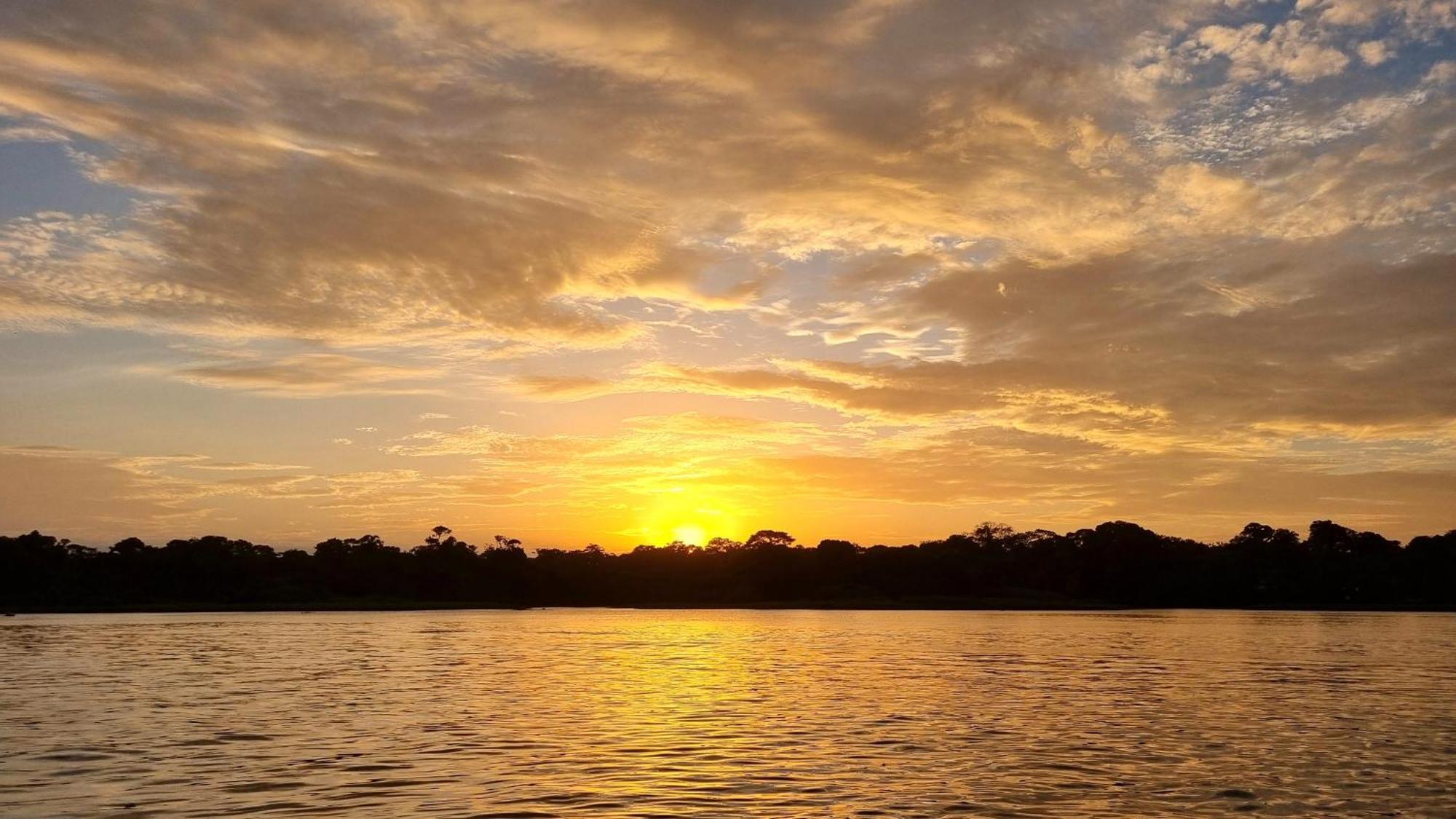 Wildlife Art Tortuguero Hotel Exterior foto