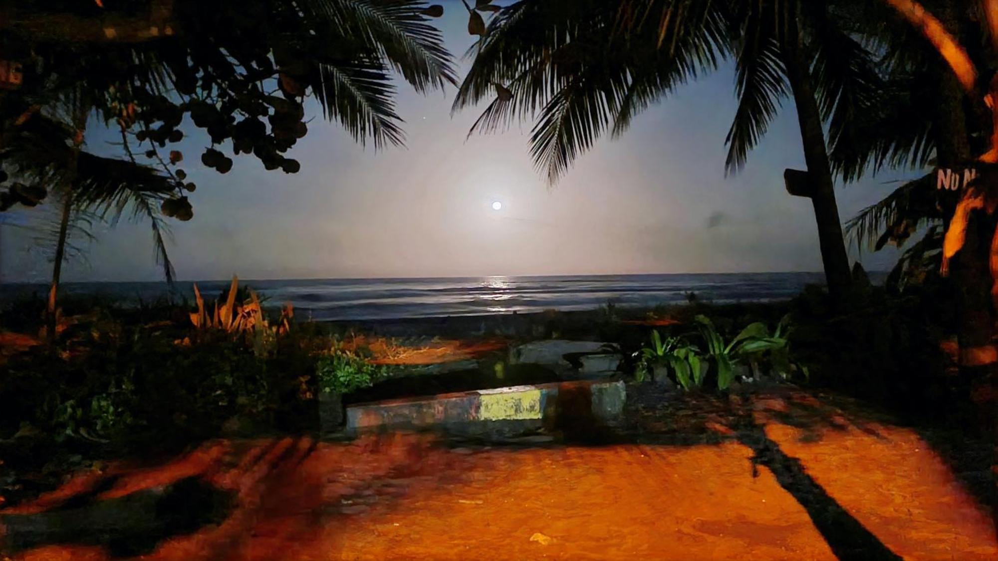 Wildlife Art Tortuguero Hotel Exterior foto