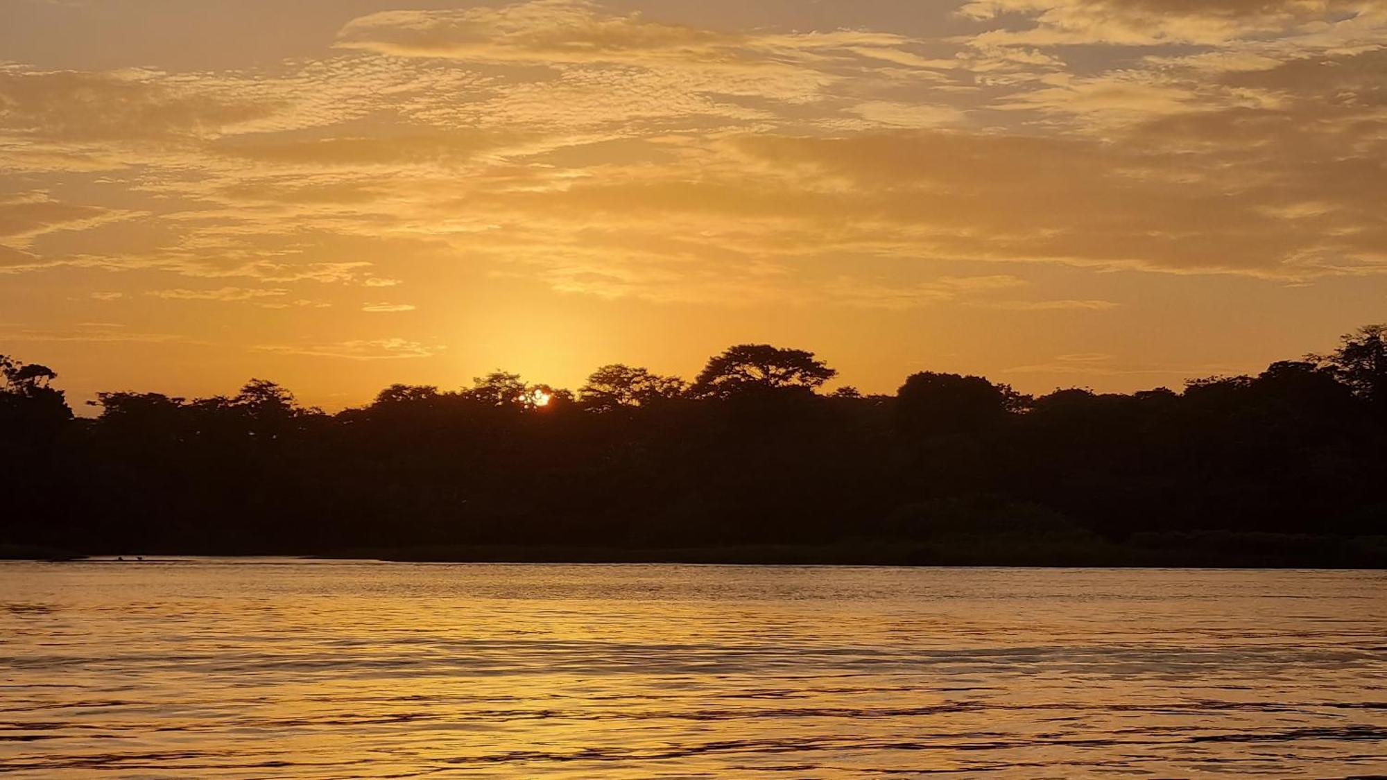 Wildlife Art Tortuguero Hotel Exterior foto