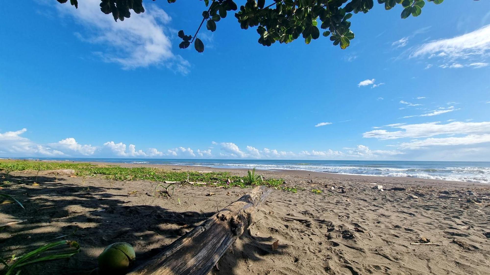 Wildlife Art Tortuguero Hotel Exterior foto