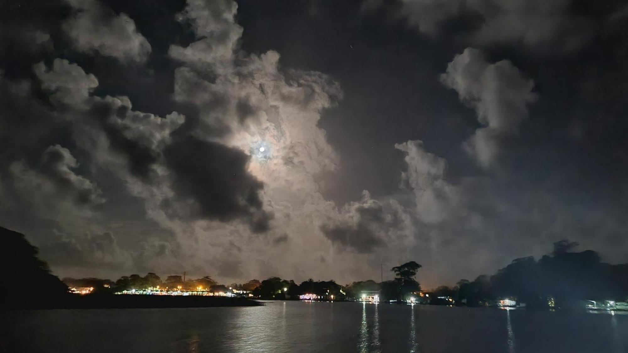 Wildlife Art Tortuguero Hotel Exterior foto