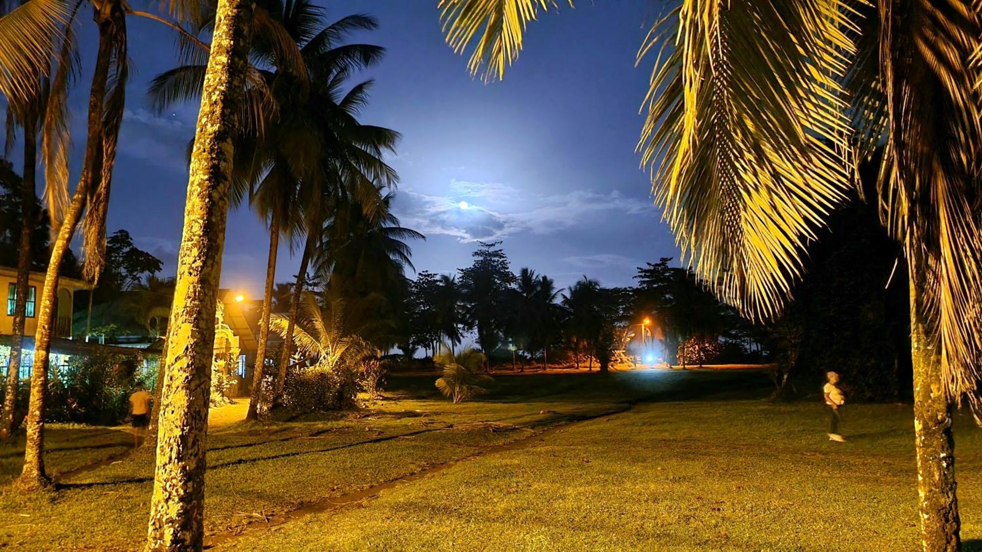 Wildlife Art Tortuguero Hotel Exterior foto
