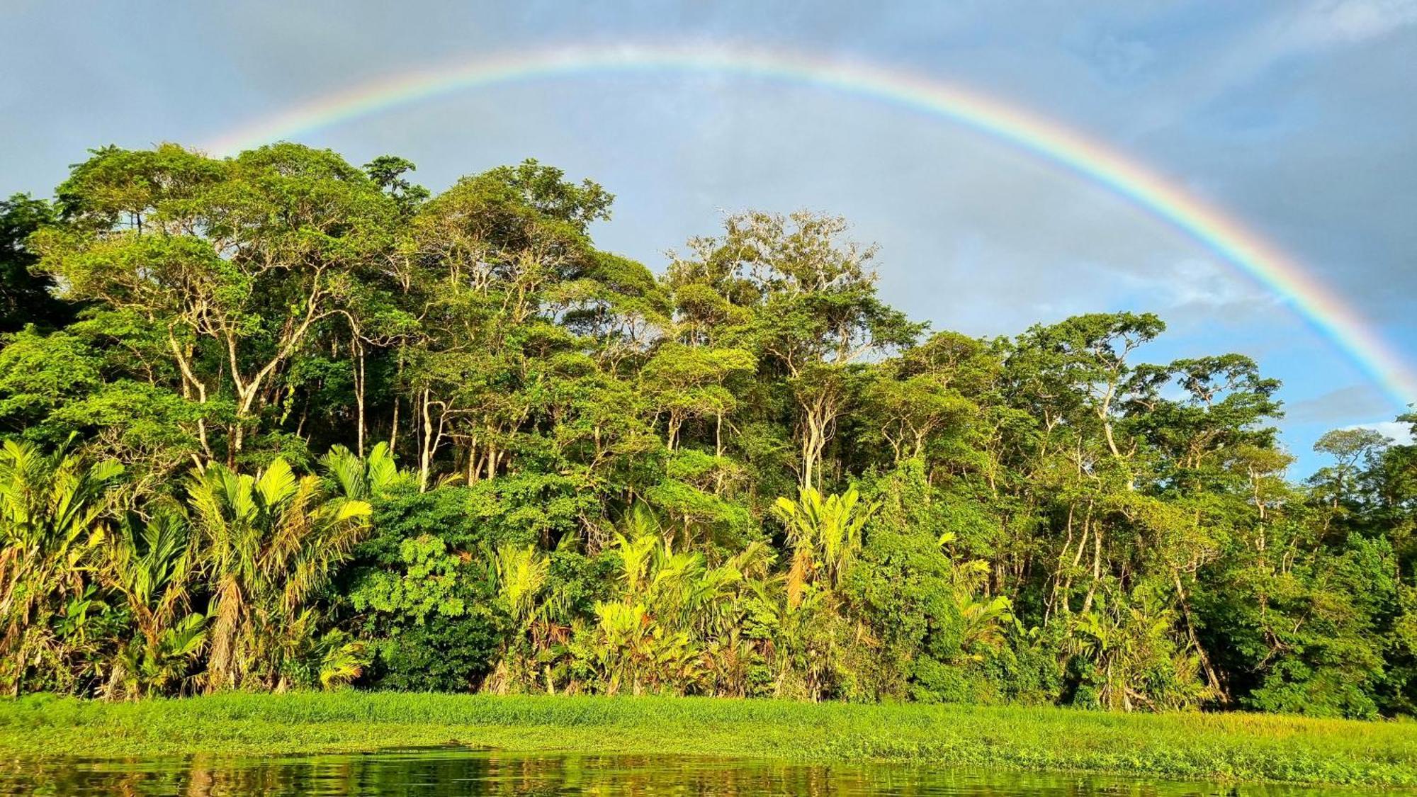 Wildlife Art Tortuguero Hotel Exterior foto
